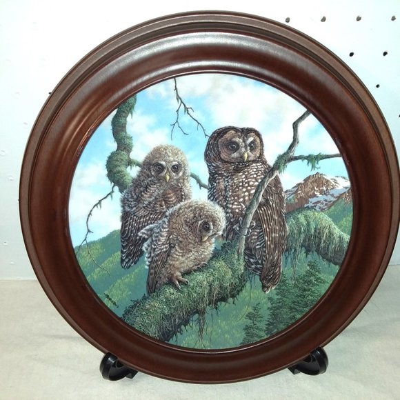3 Bradford Exchange Owl Plates with Wood Frames and Easels - Picture 5 of 12